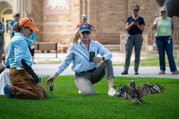 people on the ground with a hawk spreading its wings