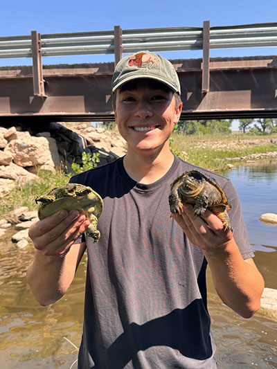 man holding up two turtles