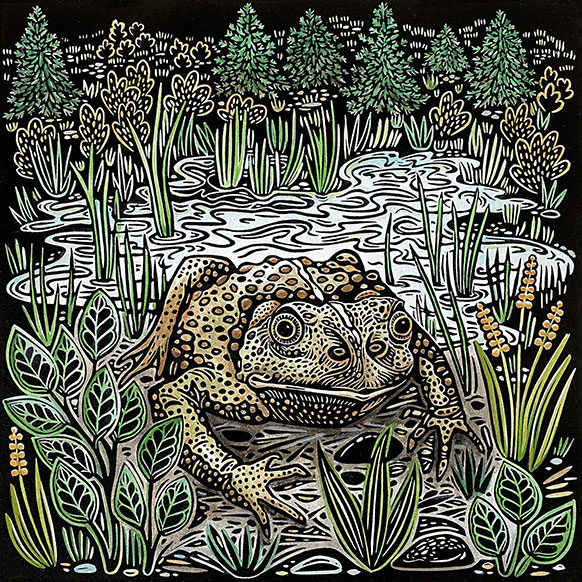 linocut image of a toad in a marshy spot