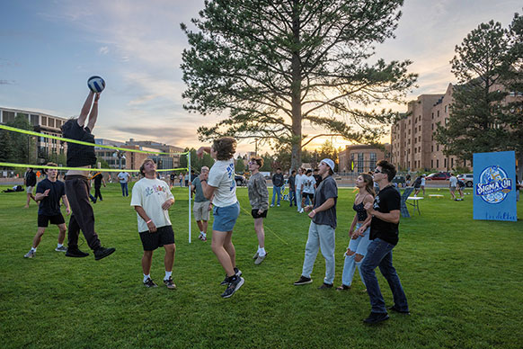 people playig volleyball