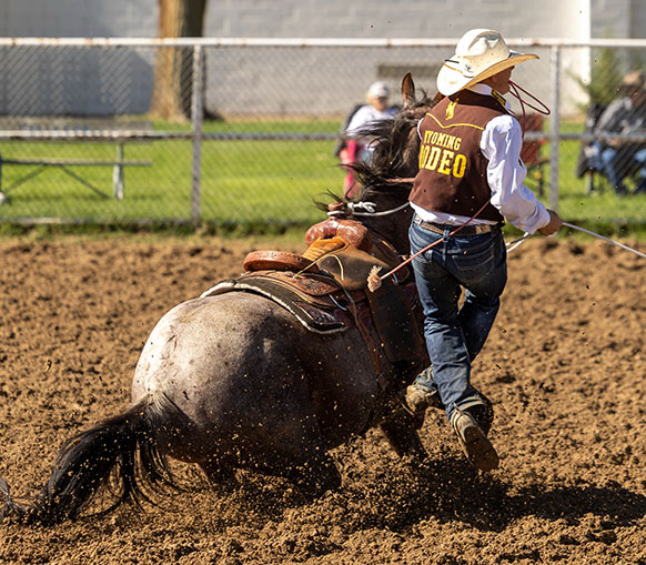 man dismounting a horse that is stopping so fast it's on its hocks