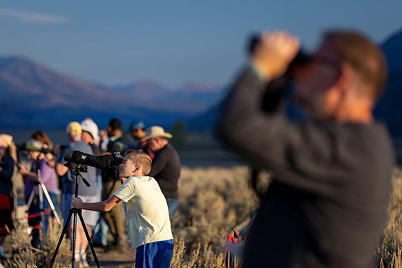 people using telescopes to view wildlife
