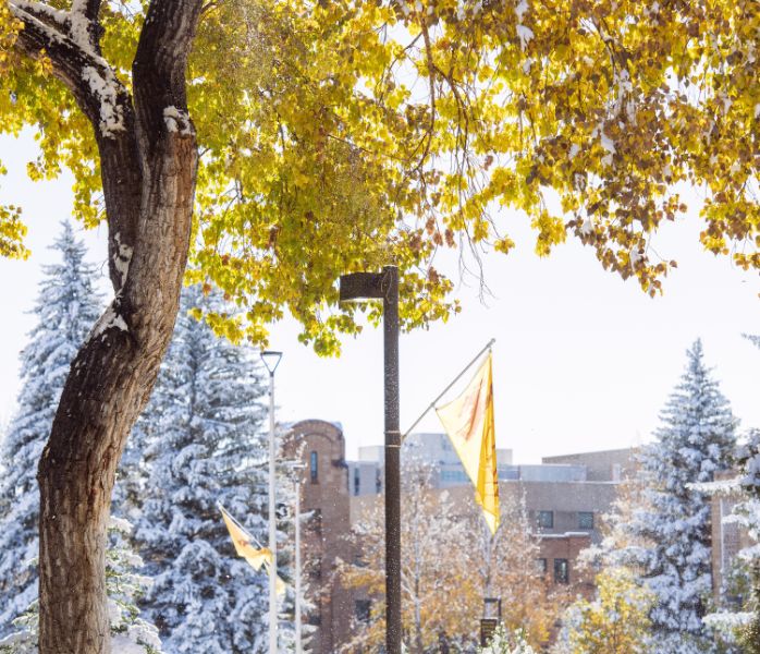 snow flag 