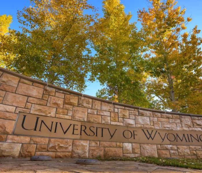 trees behind university of wyoming sign