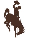 Brown bucking horse