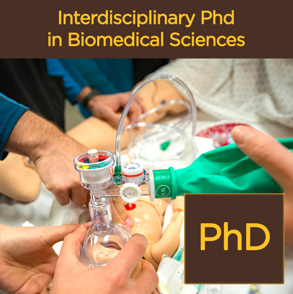 Interdisciplinary PhD Program in Biomedical Sciences offered through the College of Health Sciences at the University of Wyoming