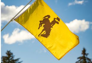 yellow flag with a brown steamboat logo