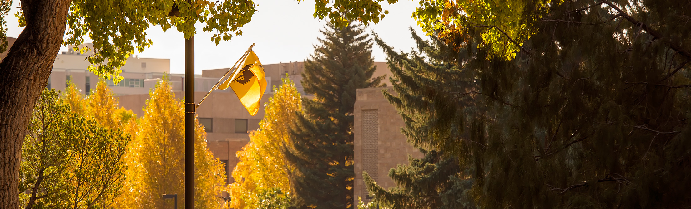 A flag with the UW Cowboy symbol with trees.