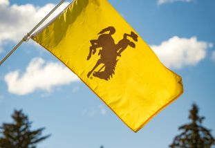 yellow flag with brown steamboat 