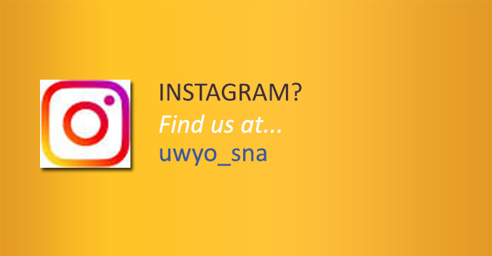 Picture of Instagram logo and SNA address