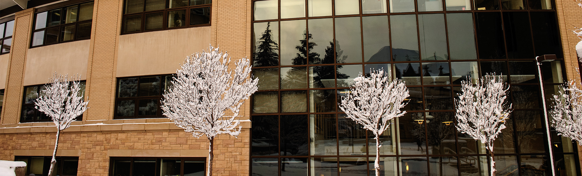 East side of the Health Sciences Building, housing the Fay W. Whitney School of Nursing