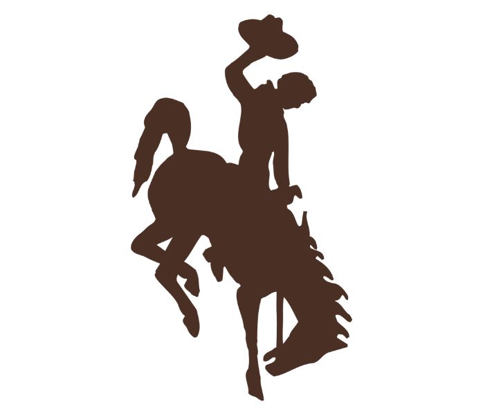 bucking horse logo