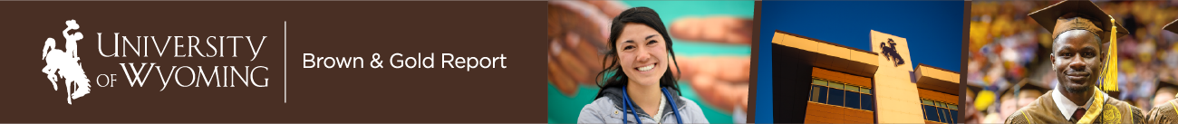 Brown & Gold Report Banner Image