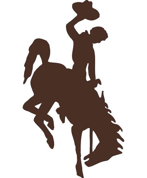 Steamboat logo