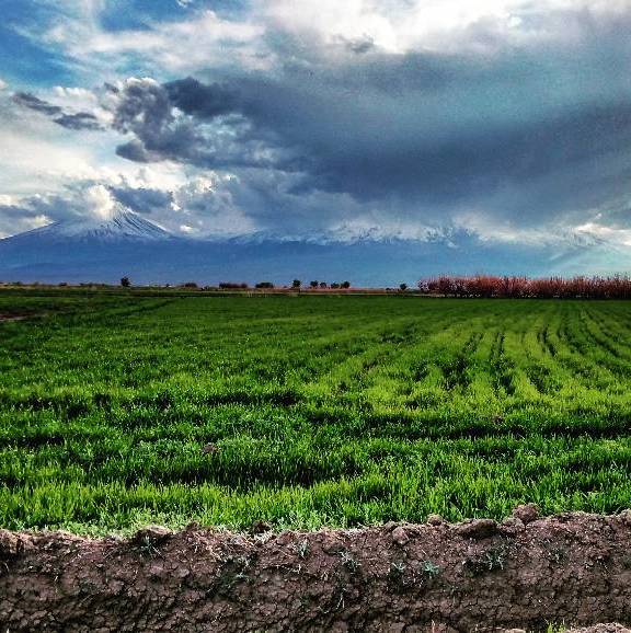 agricultural land in Armenia
