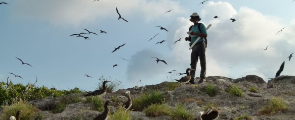 A man standing on top of a hill in Mexico with 10s of birds flying around him