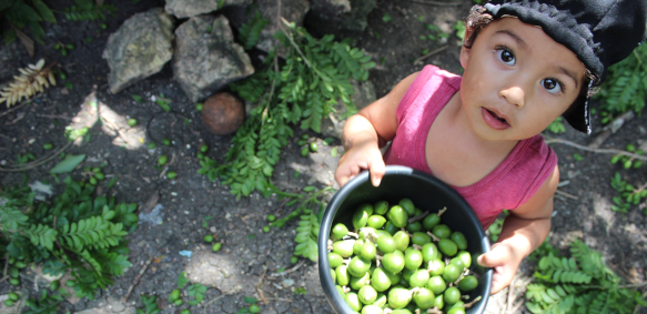 A child holding a bowl of grapes