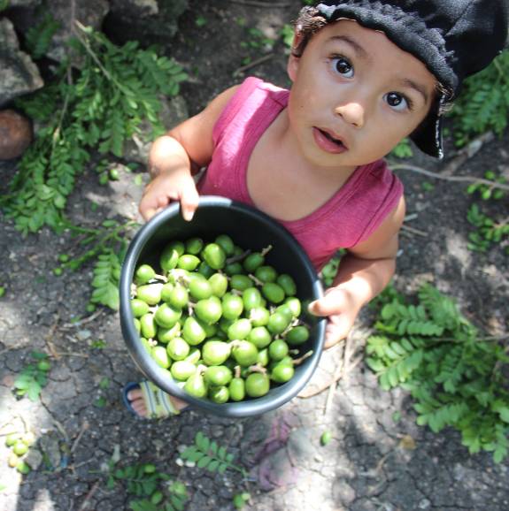 Belize child with grapes
