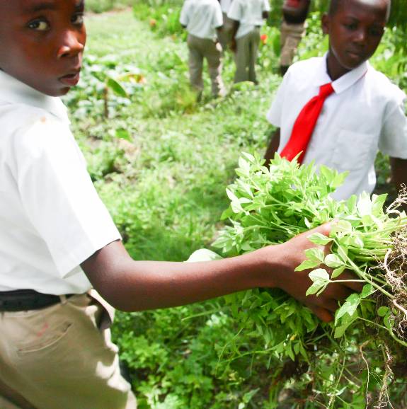 Student in 4H garden