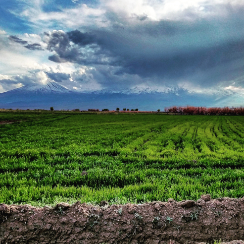 Armenian agricultural lands at the base of a mountain range