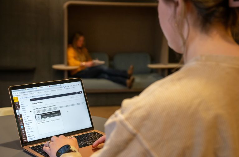 Picture of student working on computer.