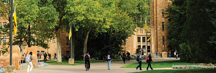 Photo of UW campus 