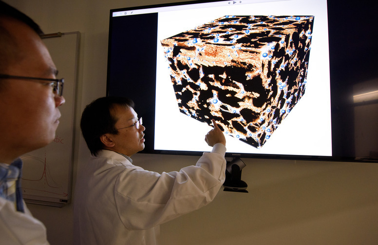 Picture of researchers 