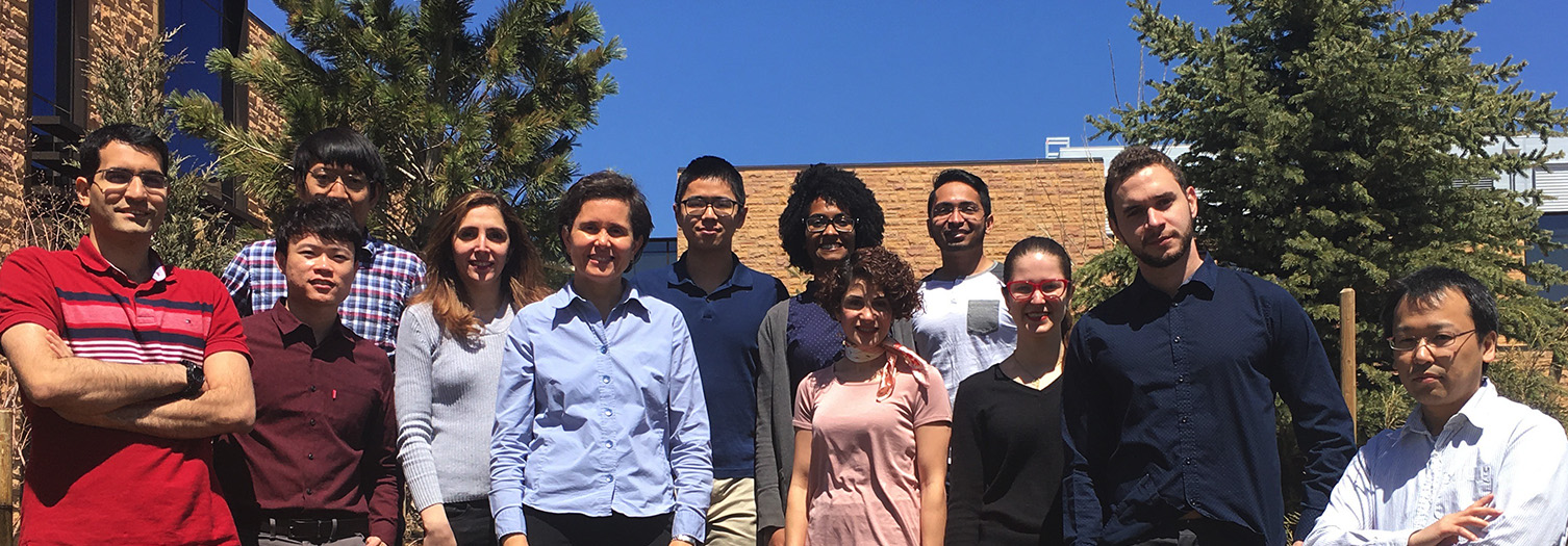 Goual Research Group