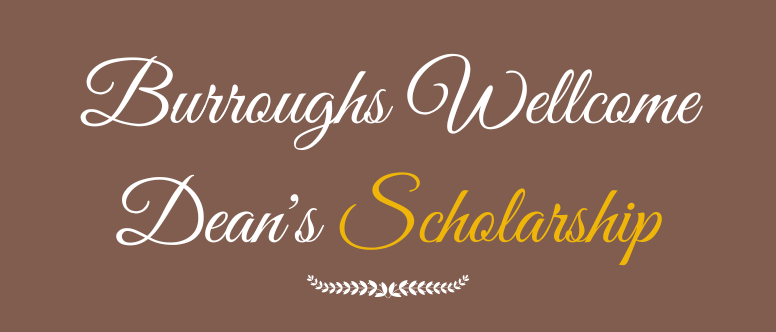 Scholarship title