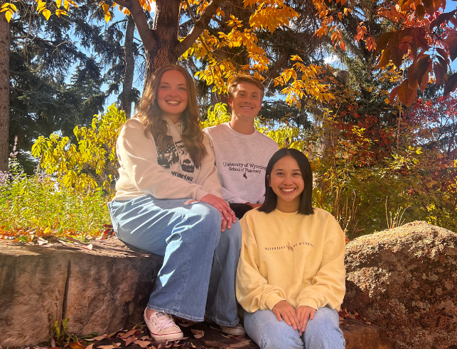 Students sitting on rocks under a tree