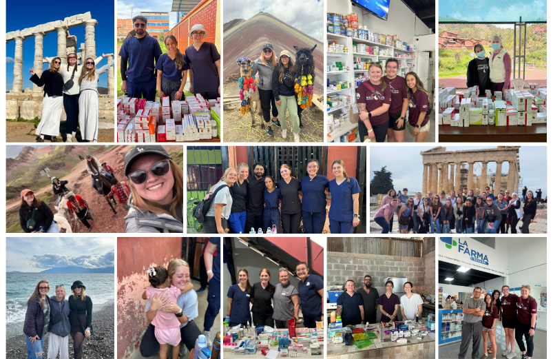 collage of international trips with students