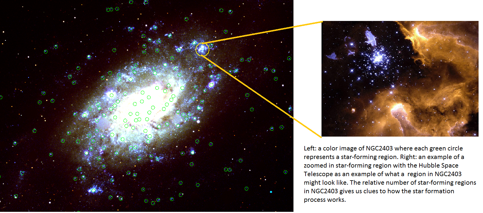 NGC2403