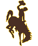 bucking horse logo