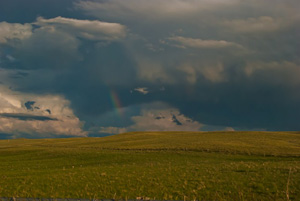 Wyoming rainbow