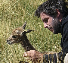 Emiliano Donadio, program in ecology, university of wyoming