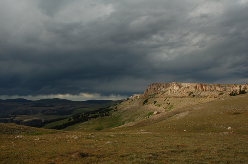 Bighorns Ecology