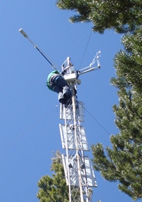 David Reed, University of Wyoming Program in Ecology alumnus