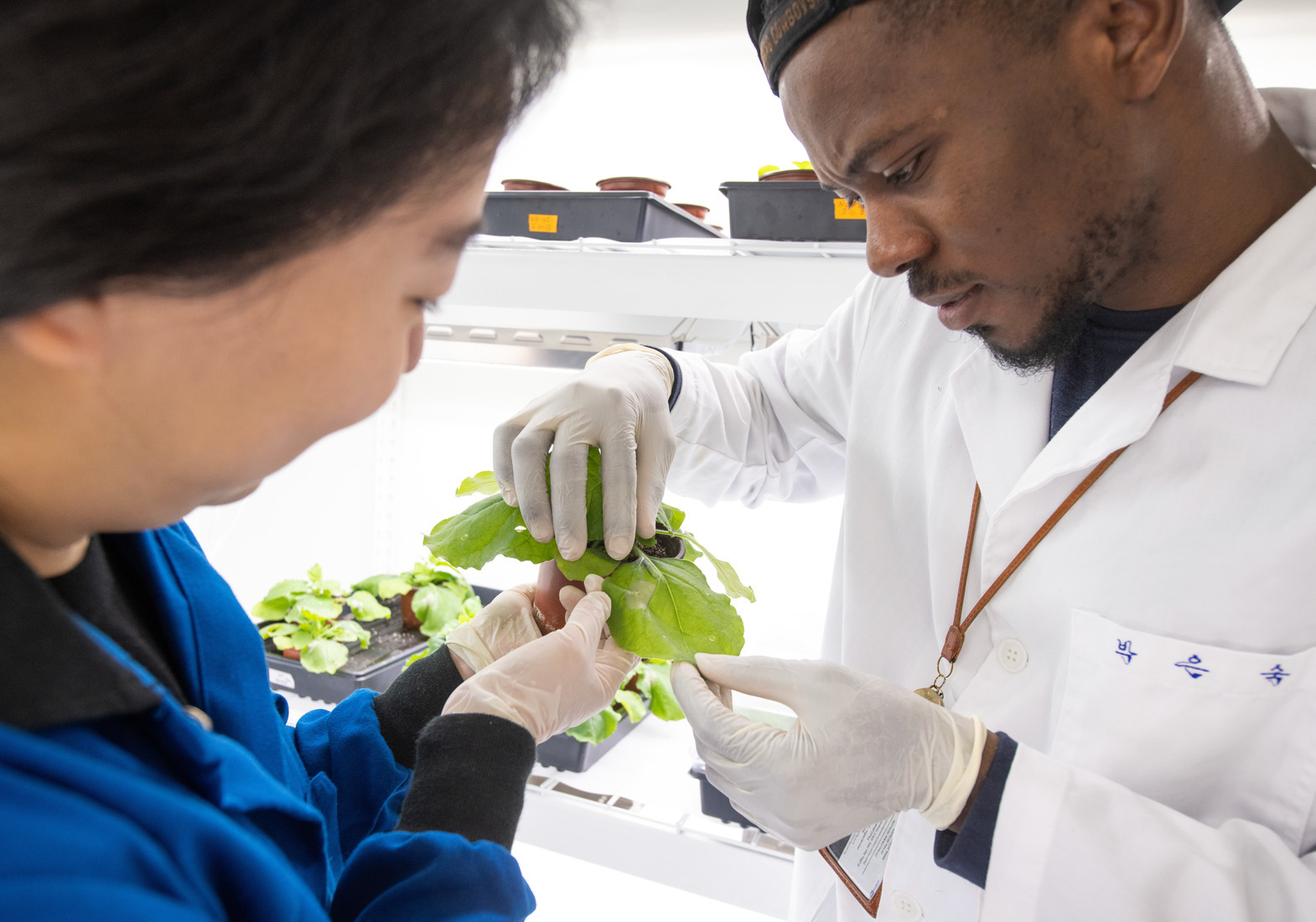 Two graduate students examine a plant in a lab