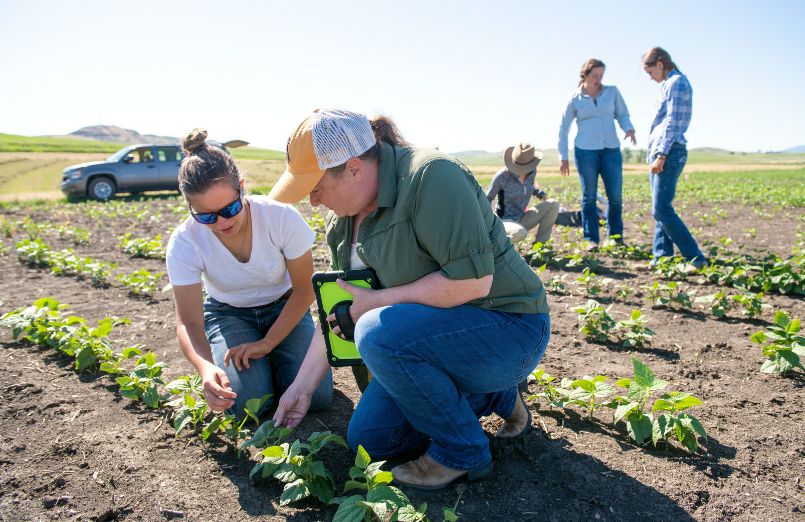 A faculty member works with students out in the field