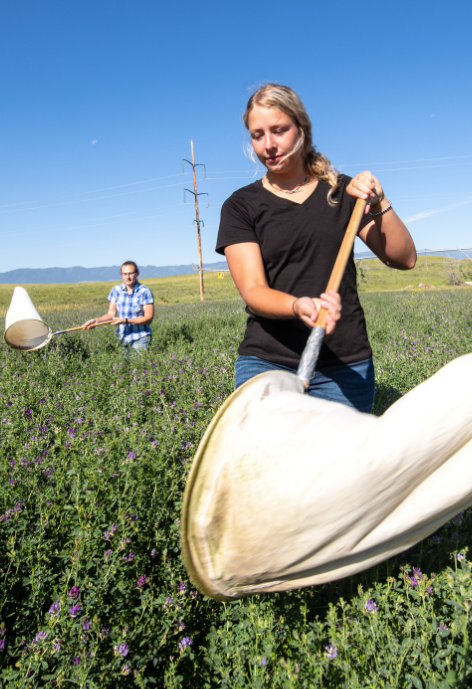 Students in a field with net