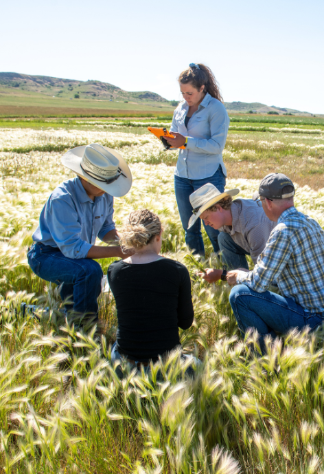 faculty and students in a field of tall grass