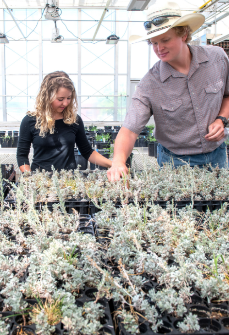 Students in a greenhouse