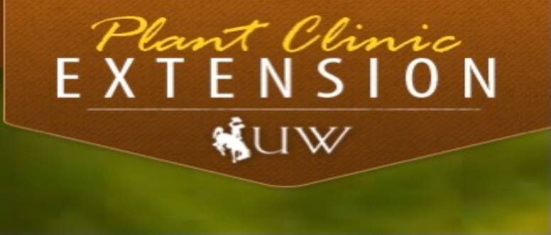 Logo for Extension Plant Clinic