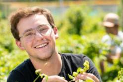 Rhett in field