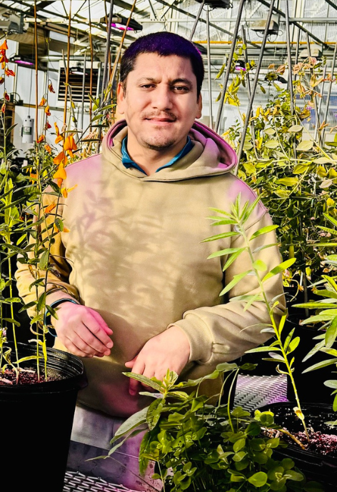 Man working in greenhouse