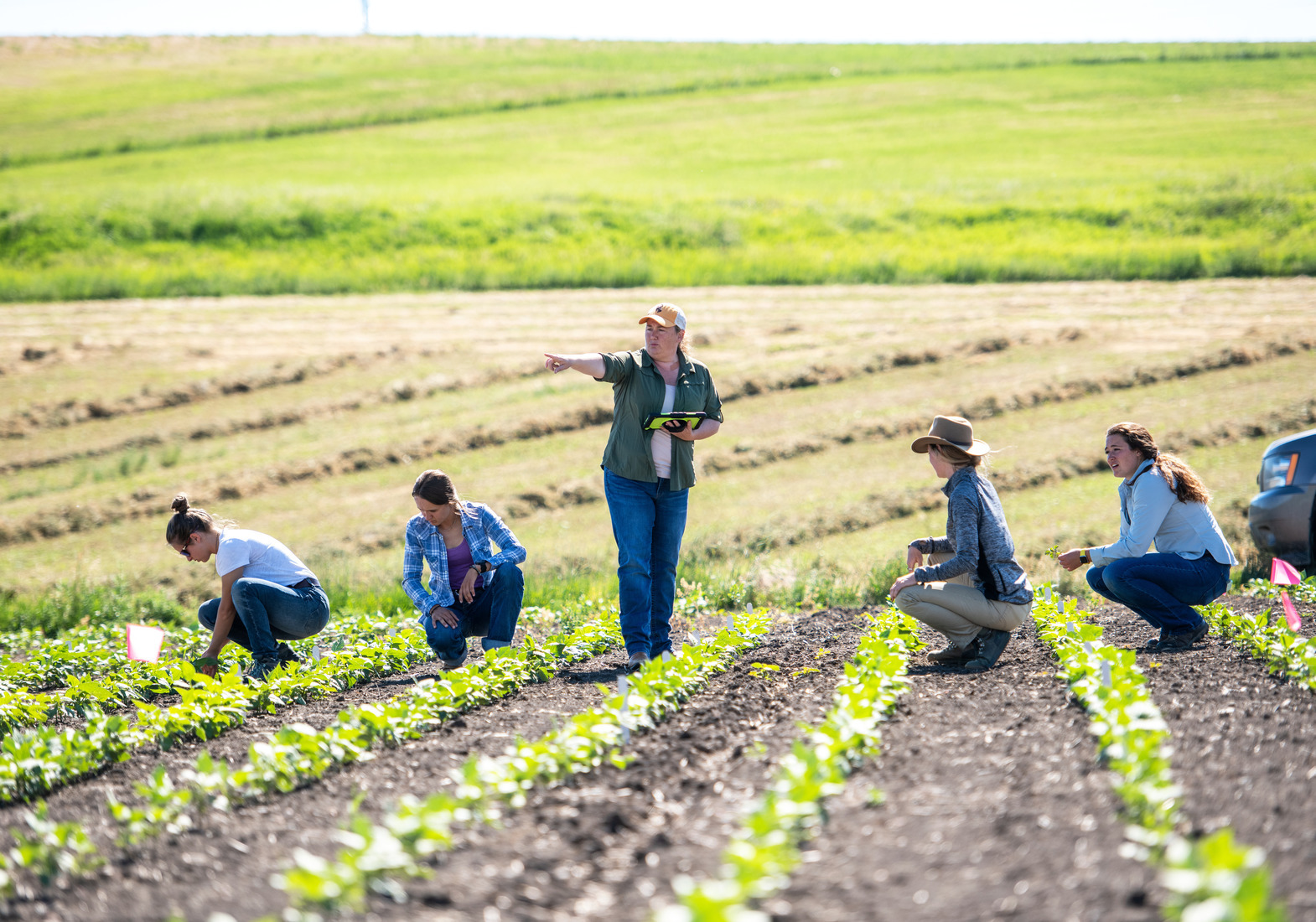 A group of students a faculty out in the field