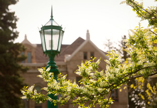 lamp post