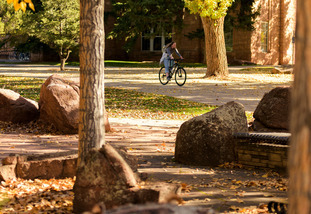 UW Campus