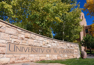 uw sing