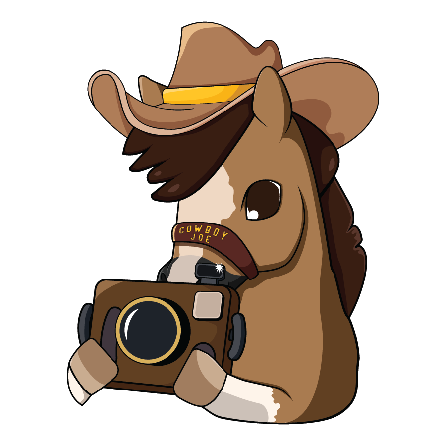 A cartoon depcition of UW's horse mascot "Cowboy Joe" holding a camera.